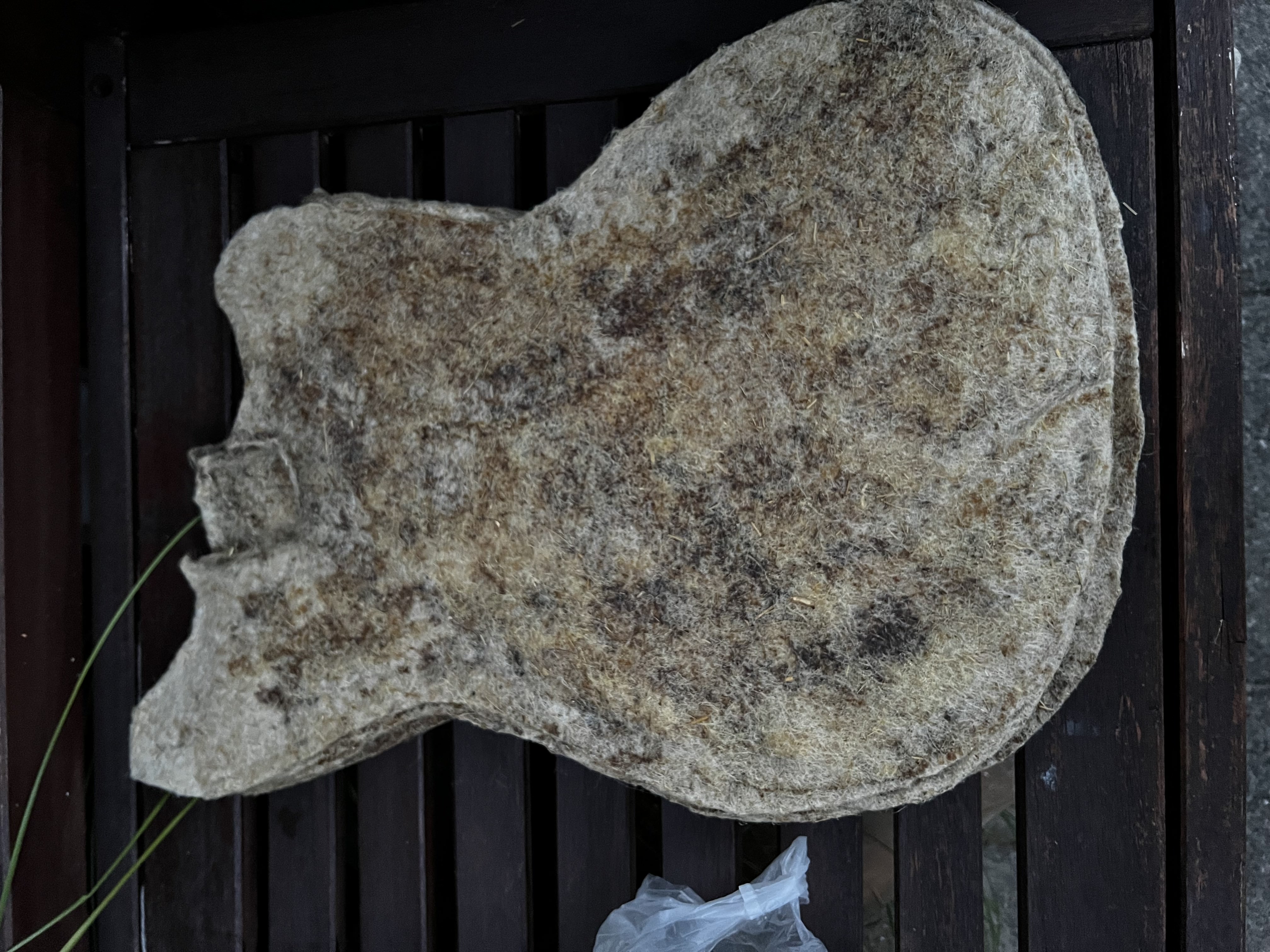 Texture of the flax composite